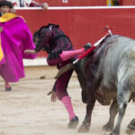 Pamplona - Corrida de toros - Domingo 8 de julio de 2018