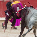 Pamplona - Corrida de toros - Domingo 8 de julio de 2018