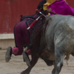 Pamplona - Corrida de toros - Domingo 8 de julio de 2018