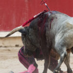 Pamplona - Corrida de toros - Domingo 8 de julio de 2018