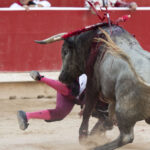 Pamplona - Corrida de toros - Domingo 8 de julio de 2018