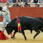 Villaseca de la Sagra (Toledo) - Final del V Certamen de Novilladas 2018