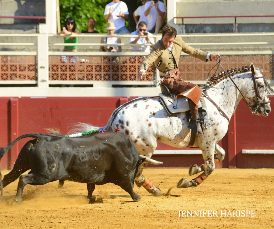 Eauze (Francia) - Corrida de toros mixta - Domingo 8 de julio de 2018
