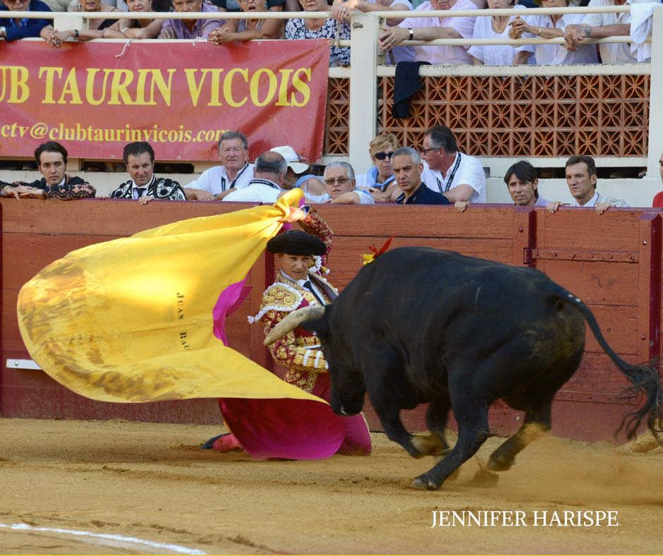 Eauze (Francia) - Corrida de toros mixta - Domingo 8 de julio de 2018