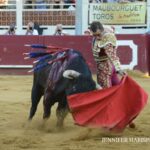 Eauze (Francia) - Corrida de toros mixta - Domingo 8 de julio de 2018