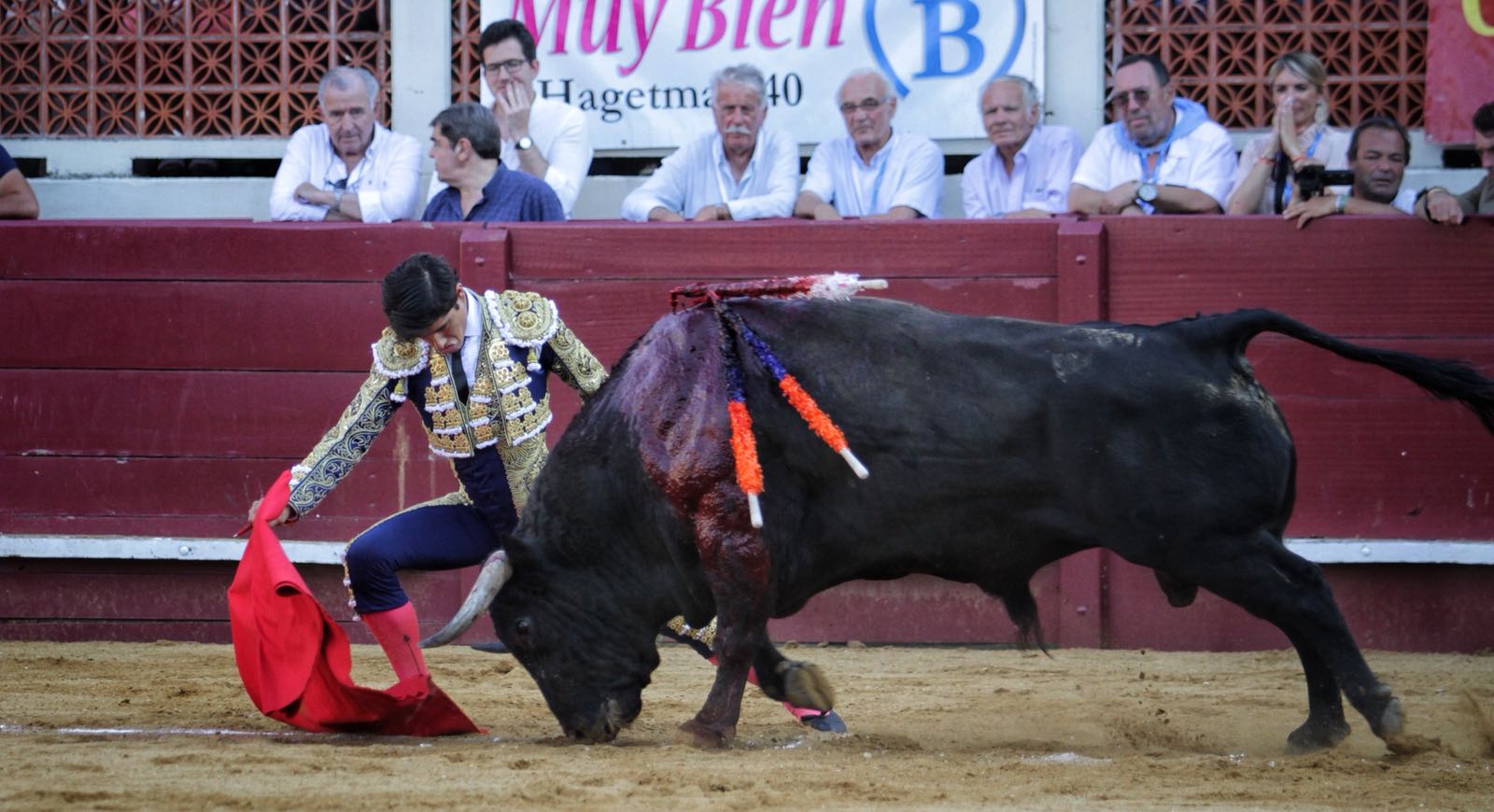 Eauze (Francia) - Corrida de toros mixta - Domingo 8 de julio de 2018