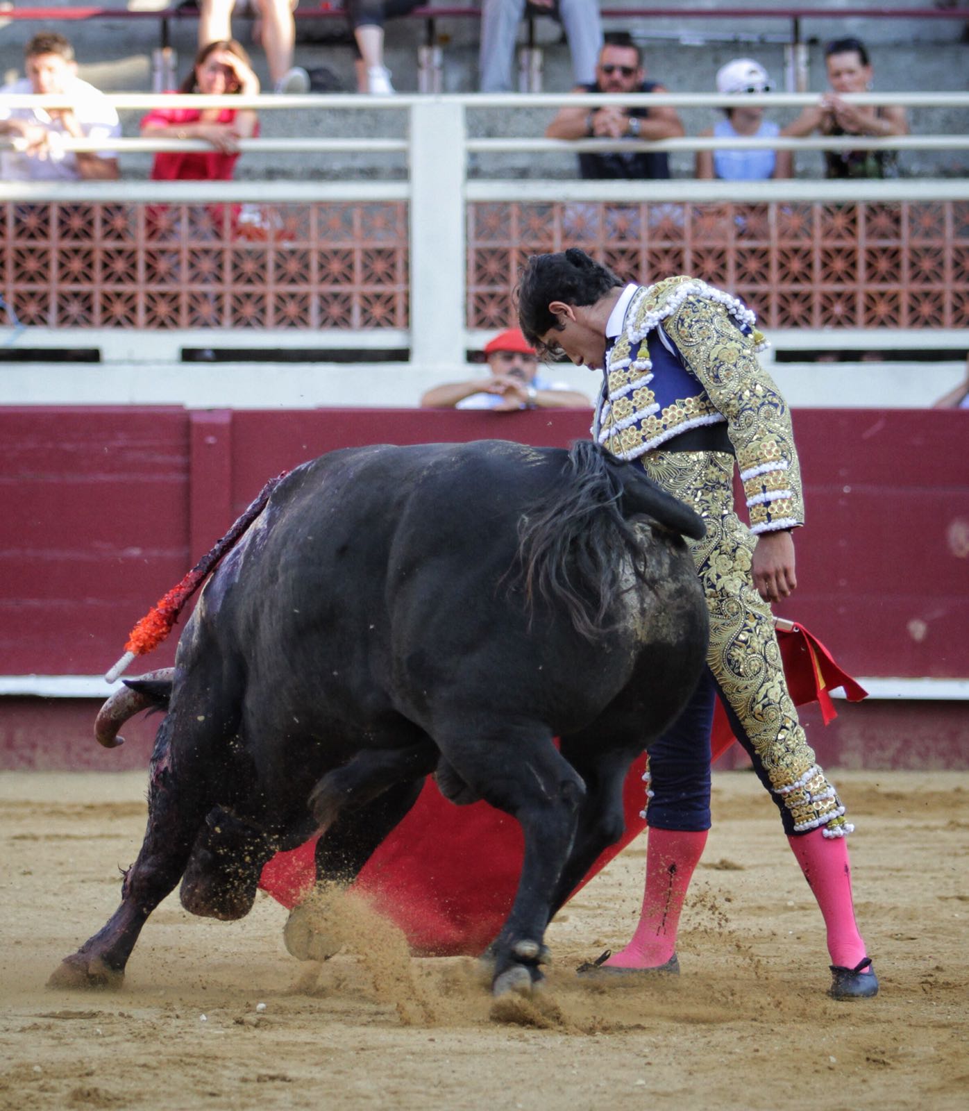 Eauze (Francia) - Corrida de toros mixta - Domingo 8 de julio de 2018
