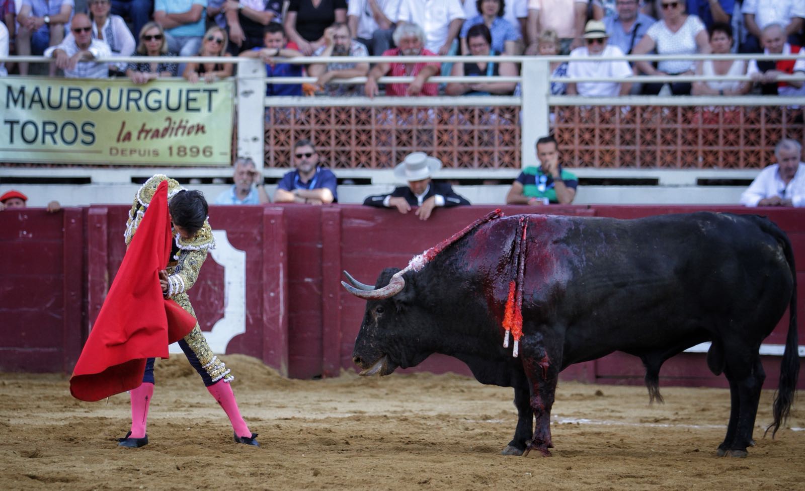 Eauze (Francia) - Corrida de toros mixta - Domingo 8 de julio de 2018