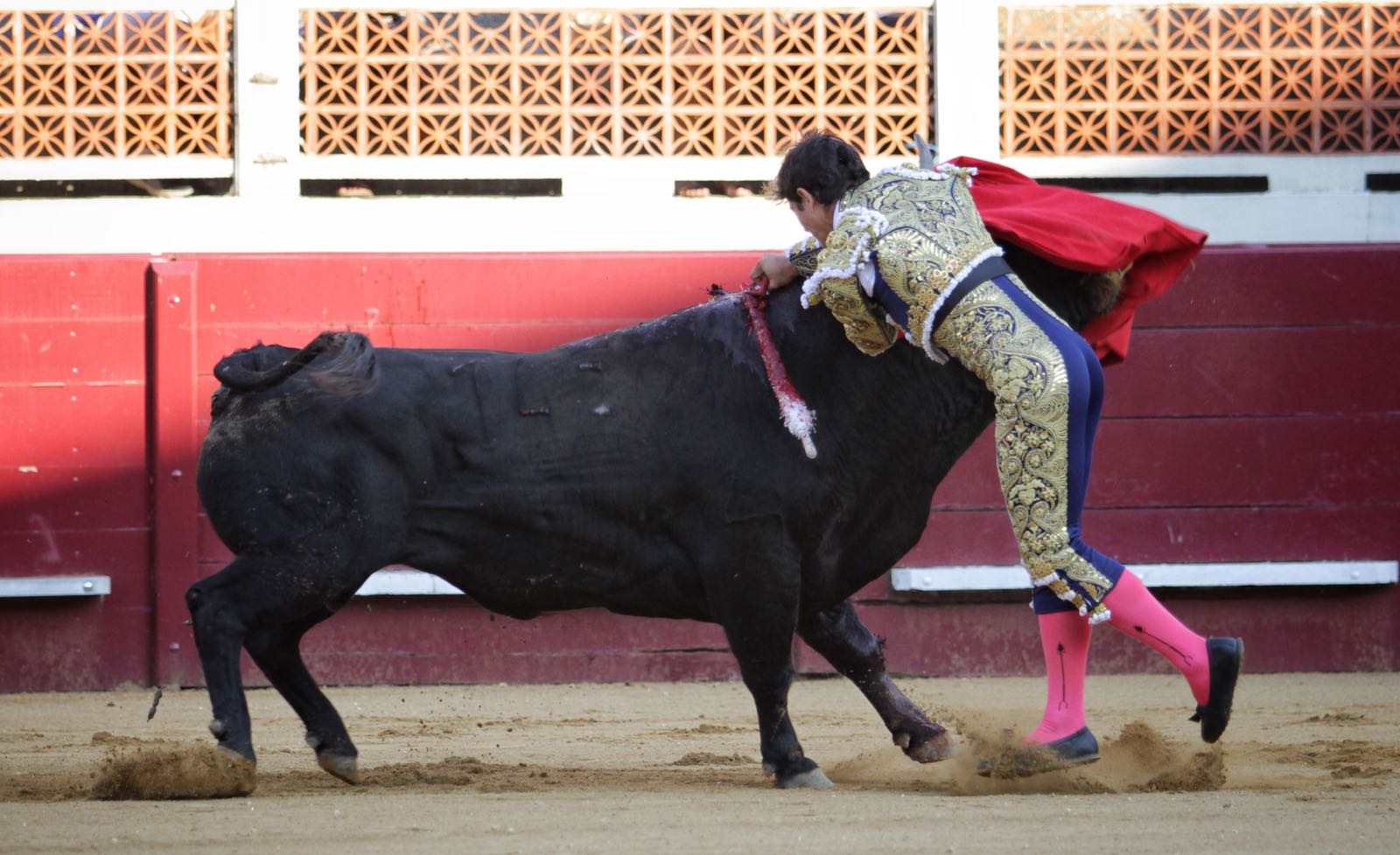 Eauze (Francia) - Corrida de toros mixta - Domingo 8 de julio de 2018
