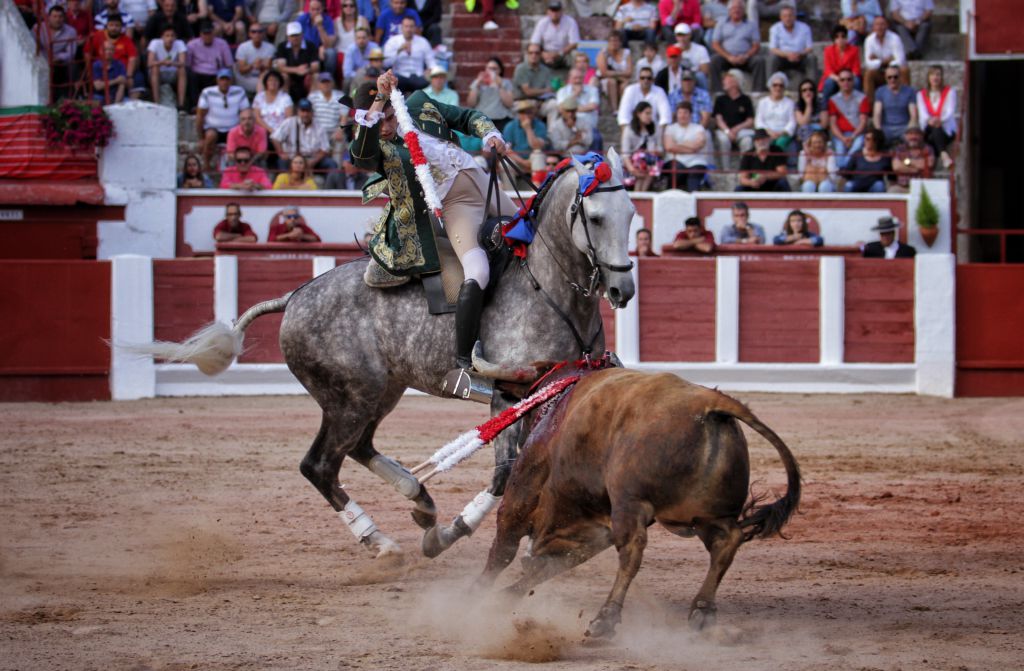 Zamora- Corrida de rejones - Domingo 1 de julio de 2018