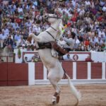 Zamora- Corrida de rejones - Domingo 1 de julio de 2018