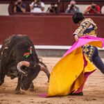 Madrid, 13 de mayo de 2018