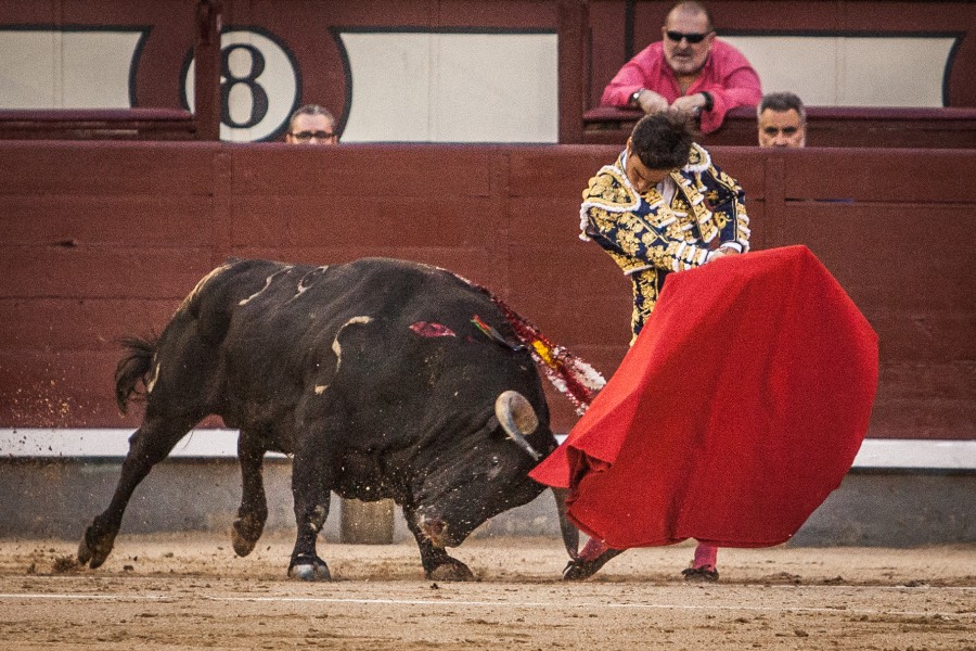 Madrid, 13 de mayo de 2018