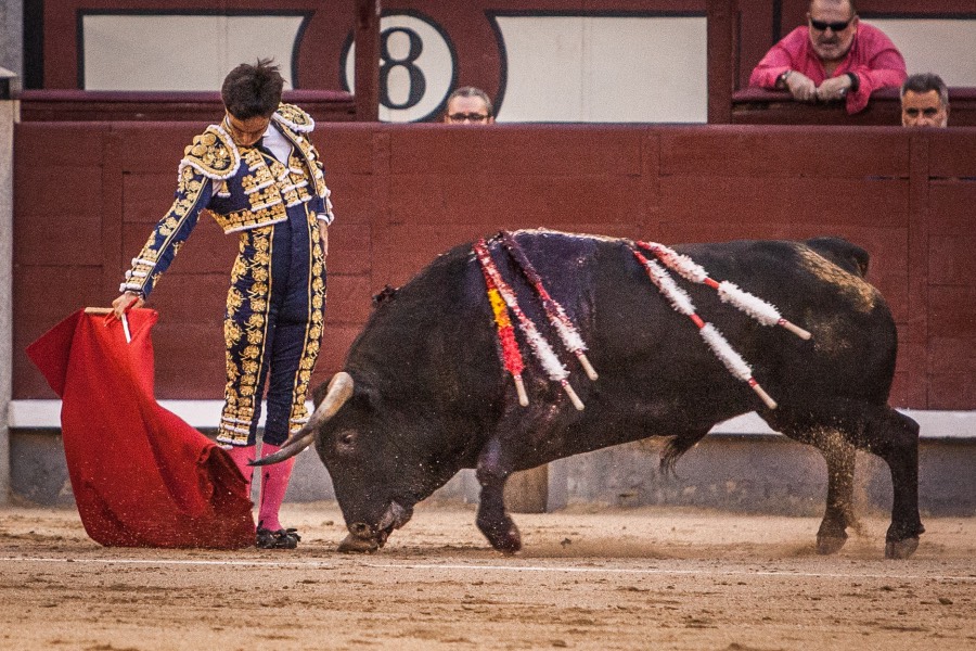 Madrid, 13 de mayo de 2018