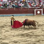 Segovia - Corrida de toros - Sábado 30 de junio de 2018