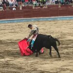 Segovia - Corrida de toros - Sábado 30 de junio de 2018