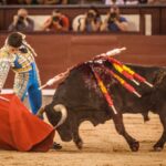 Segovia - Corrida de toros - Sábado 30 de junio de 2018