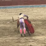 Segovia - Corrida de toros - Sábado 30 de junio de 2018