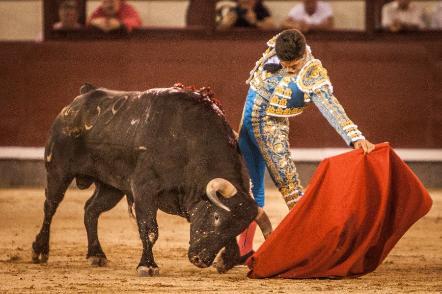 Madrid, 13 de mayo de 2018