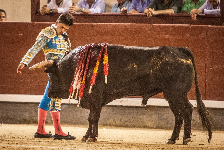 Madrid, 13 de mayo de 2018