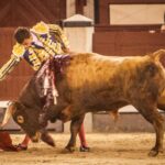 Madrid, 13 de mayo de 2018