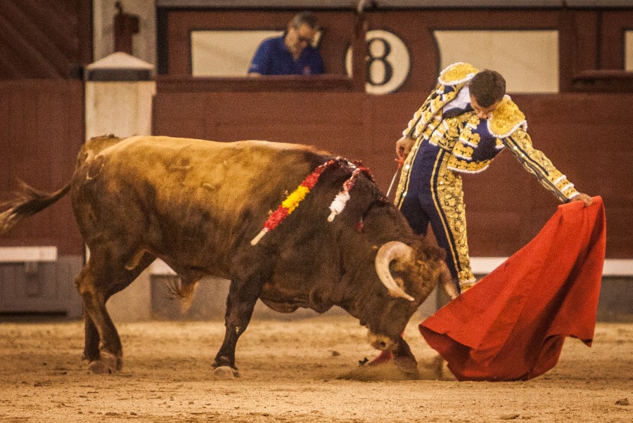 Madrid, 13 de mayo de 2018