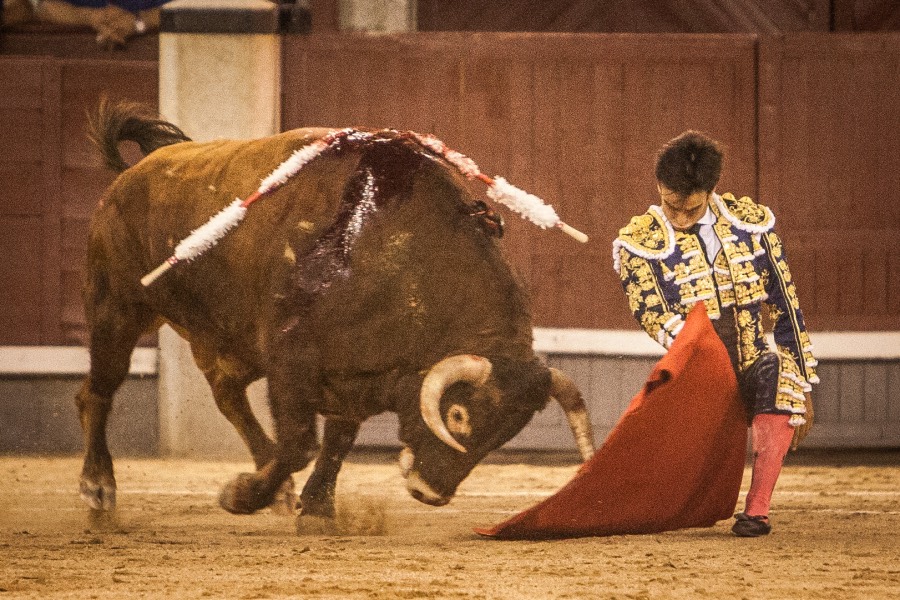 Madrid, 13 de mayo de 2018