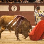 Madrid, 13 de mayo de 2018