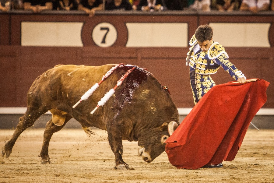 Madrid, 13 de mayo de 2018
