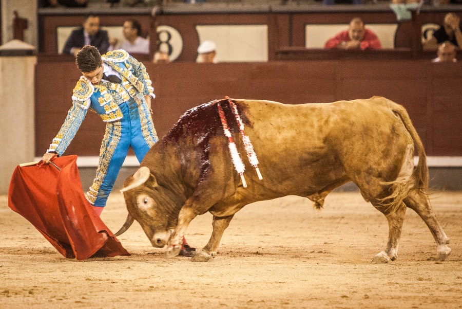 Madrid, 13 de mayo de 2018
