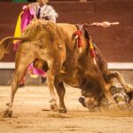 Madrid, 13 de mayo de 2018