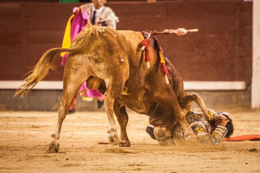 Madrid, 13 de mayo de 2018
