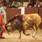 Madrid, 13 de mayo de 2018