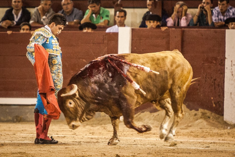 Madrid, 13 de mayo de 2018
