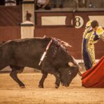 Madrid, 13 de mayo de 2018