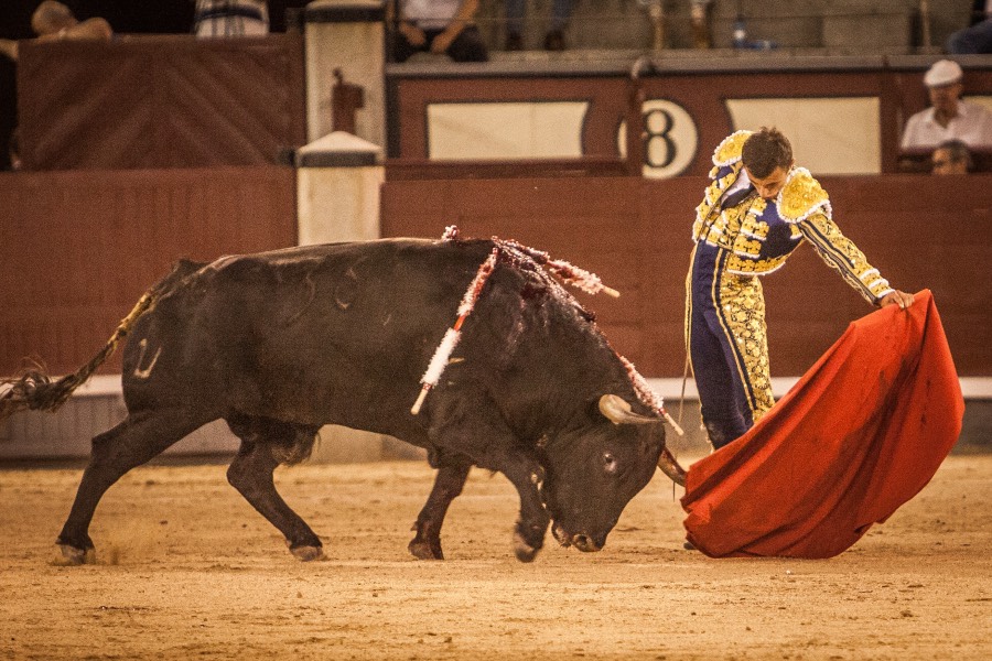 Madrid, 13 de mayo de 2018