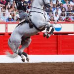 Santander - Corrida de rejones - Domingo 22 de julio de 2018