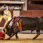 Madrid- Novillada nocturna - Viernes 20 de julio de 2018