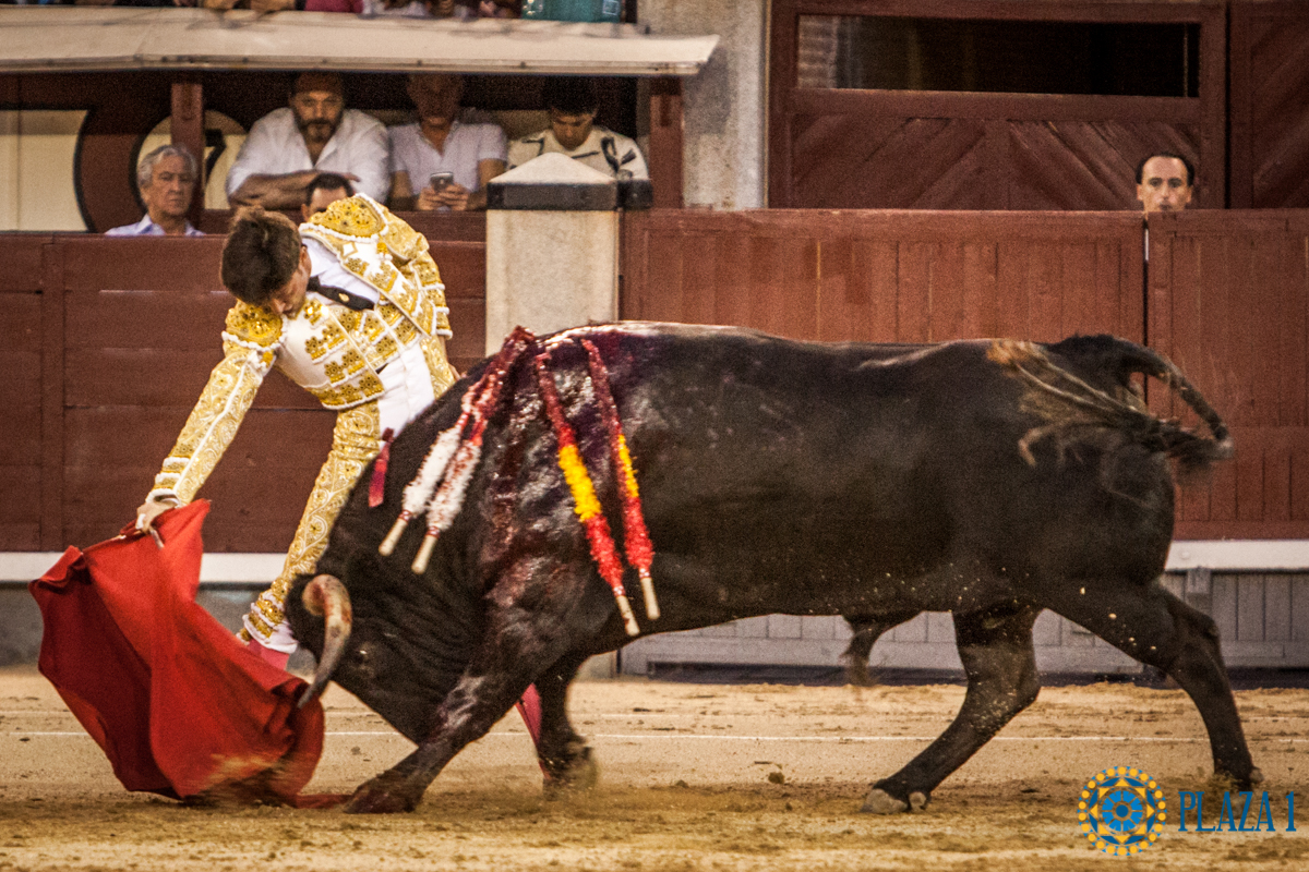 Madrid- Novillada nocturna - Viernes 20 de julio de 2018
