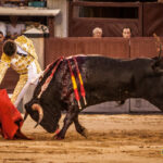 Madrid- Novillada nocturna - Viernes 20 de julio de 2018