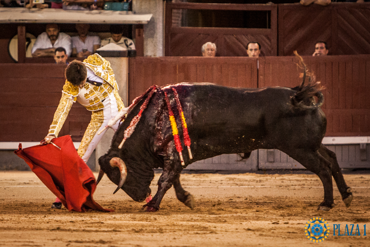 Madrid- Novillada nocturna - Viernes 20 de julio de 2018