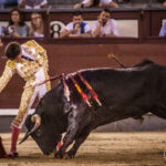 Madrid- Novillada nocturna - Viernes 20 de julio de 2018