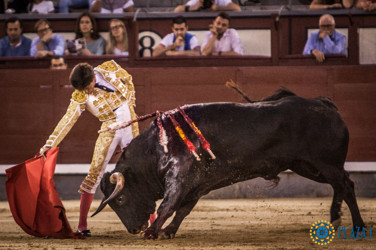 Madrid- Novillada nocturna - Viernes 20 de julio de 2018