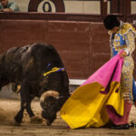 Madrid- Novillada nocturna - Viernes 20 de julio de 2018