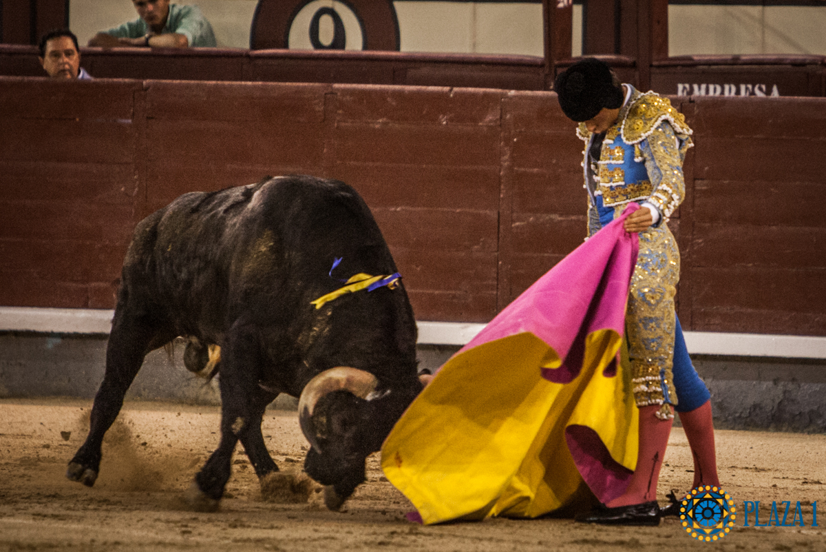 Madrid- Novillada nocturna - Viernes 20 de julio de 2018