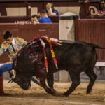 Madrid- Novillada nocturna - Viernes 20 de julio de 2018