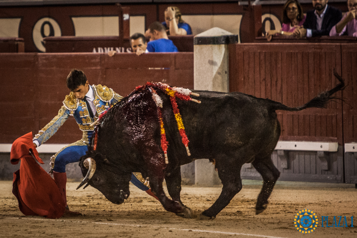 Madrid- Novillada nocturna - Viernes 20 de julio de 2018