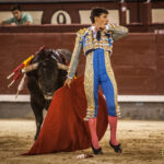 Madrid- Novillada nocturna - Viernes 20 de julio de 2018