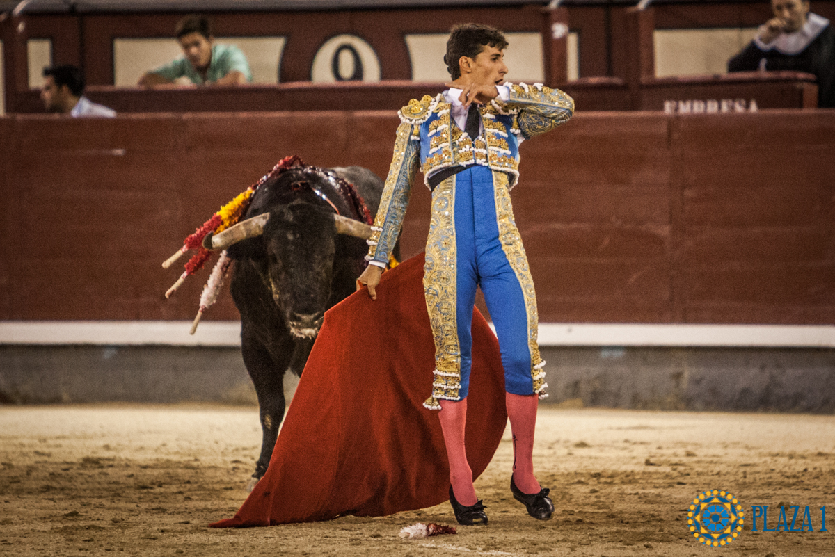 Madrid- Novillada nocturna - Viernes 20 de julio de 2018