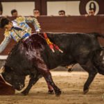 Madrid- Novillada nocturna - Viernes 20 de julio de 2018